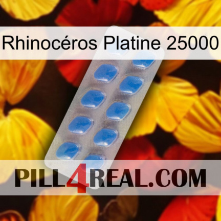 Rhinocéros Platine 25000 22